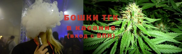 винт Богородицк